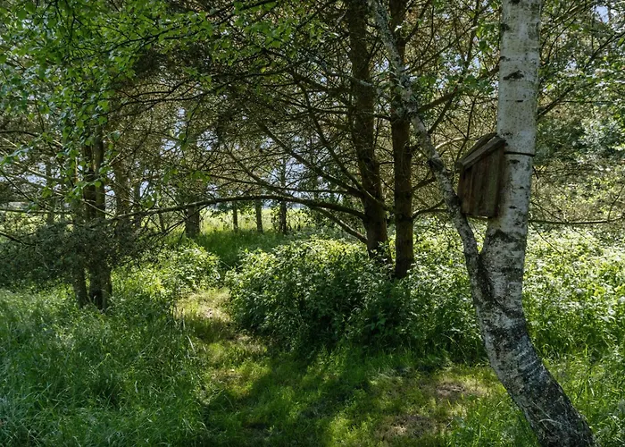 Hébergement de vacances Nordic Log With Views Over The Fields Hals